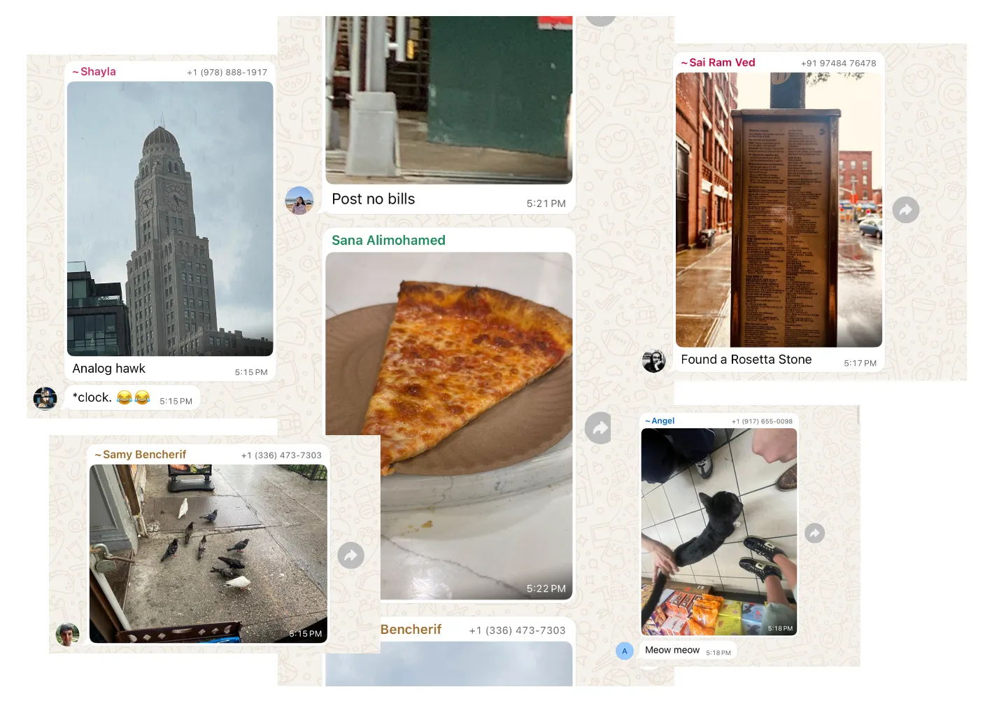 Chat screenshots with pizza, bodega cats, and more